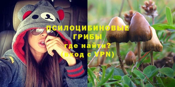 стаф Остров