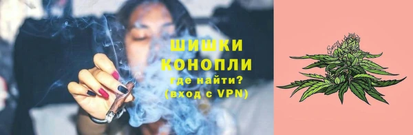 мет Пестово
