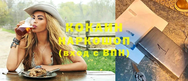 винт Пересвет