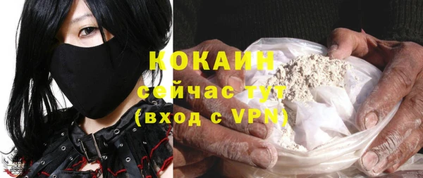 винт Пересвет
