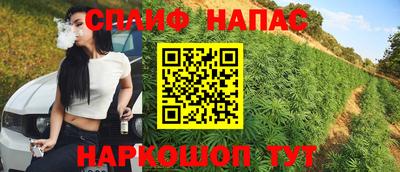 шишки Балашиха