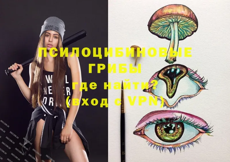 купить закладку  Бийск  Псилоцибиновые грибы Psilocybine cubensis 