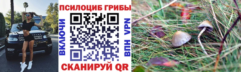 Псилоцибиновые грибы ЛСД  наркотики  Бийск 