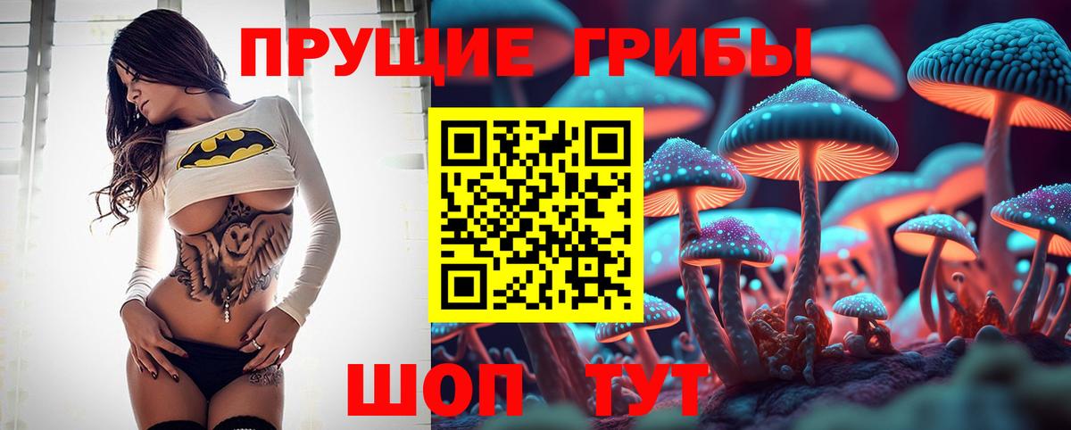Галлюциногенные грибы Magic Shrooms  Вход с VPN  Бийск  Псилоцибиновые грибы Psilocybe 
