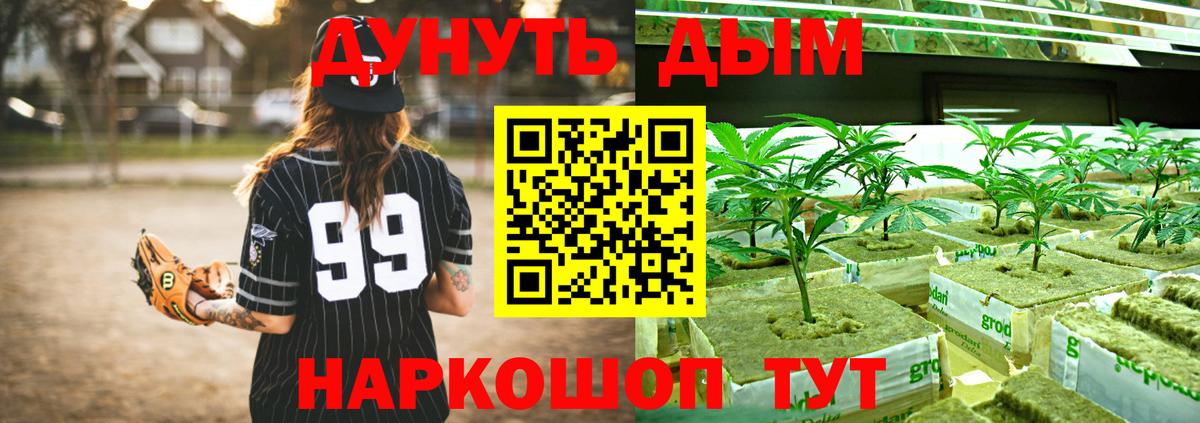 Каннабис SATIVA & INDICA  Вход с VPN  Каннабис гибрид  Каннабис LSD WEED  Бийск 